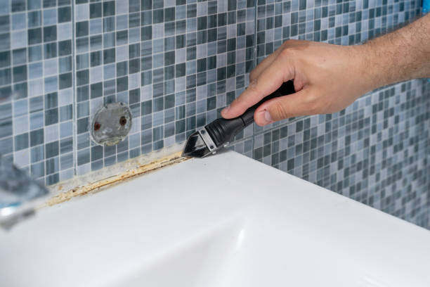 Best Health and Safety Mold Remediation in Lannon, WI